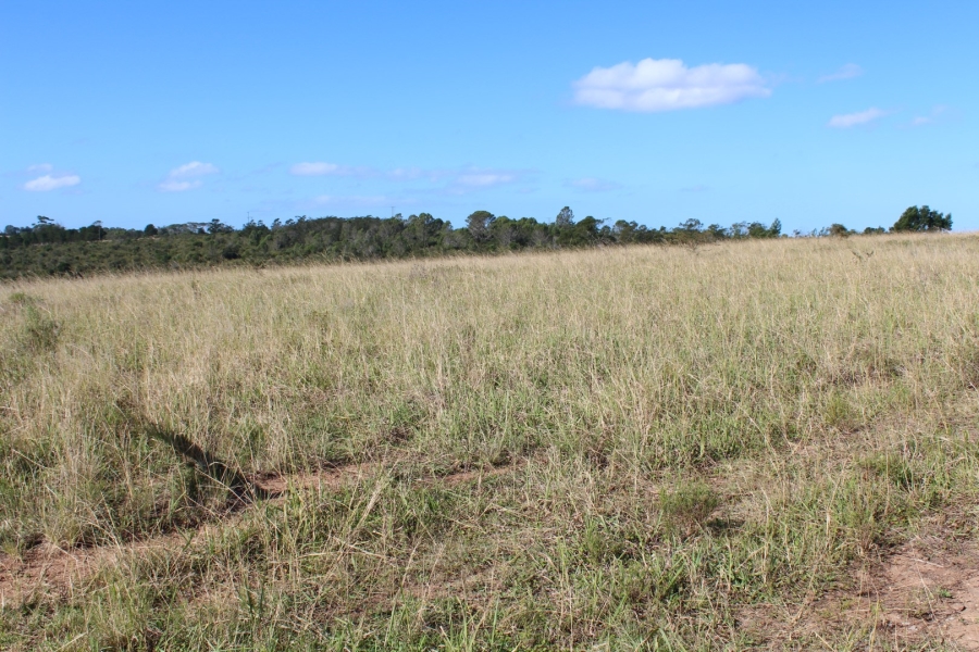 3 Bedroom Property for Sale in Bathurst Eastern Cape